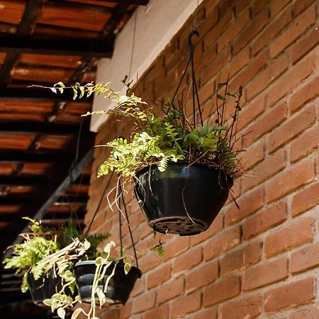 Casa Ka'A Hostel Убатуба Экстерьер фото